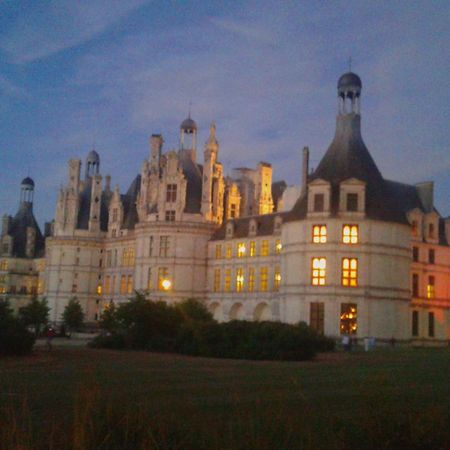 Gite L'Opale Lailly-en-Val Bagian luar foto